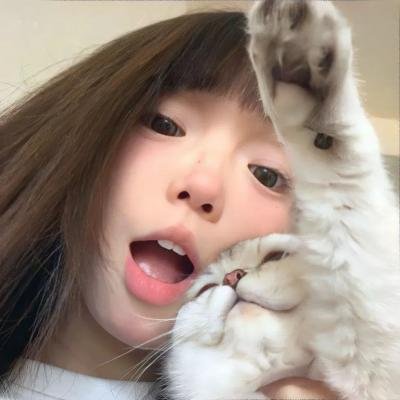 狐狸与我国语